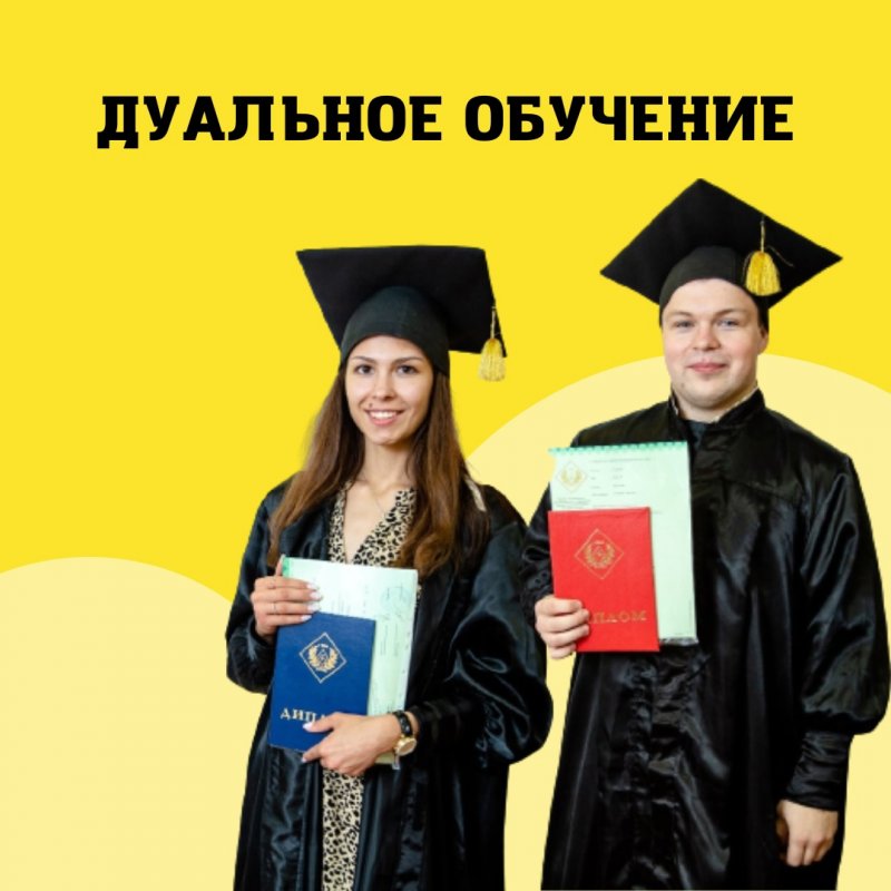 дуальное обучение