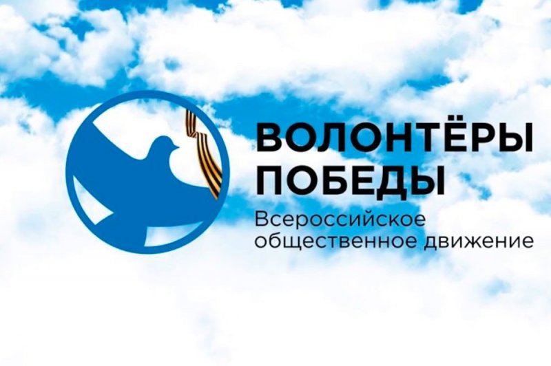волонтеры победы