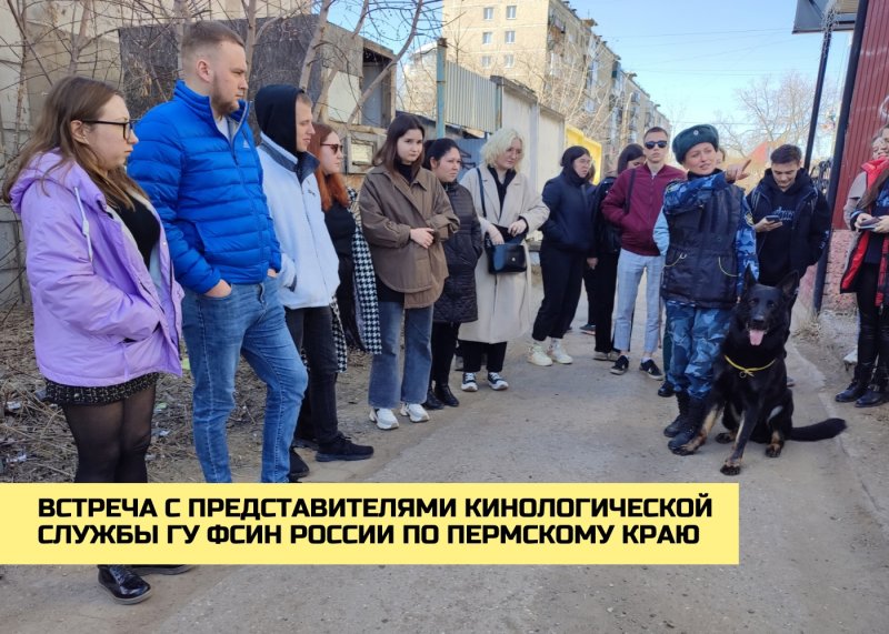 кинологическая служба