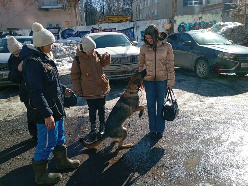 практическое занятие по криминалистике